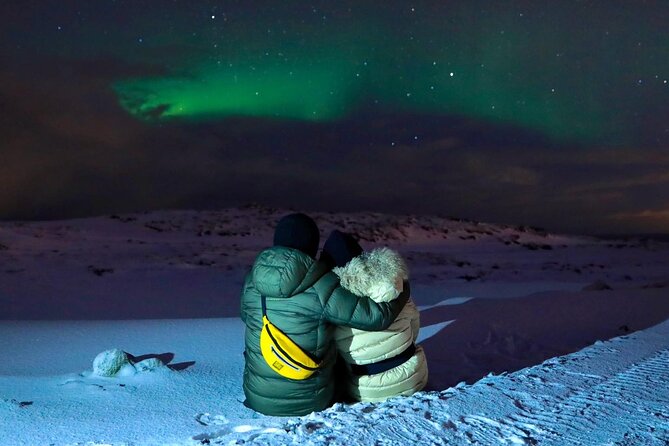 Golden Circle & Northern Lights Tour from Reykjavik - Key things that make this tour work well