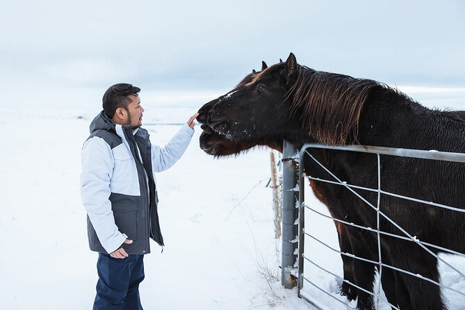 Golden Circle | Private Tour | PRO Photo Package - Thingvellir National Park: walk between two continents