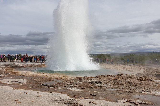 Golden Circle - Puffin Travel Private tour - Geysir and the Grand Pre-Show: steam, vents, and eruption basics