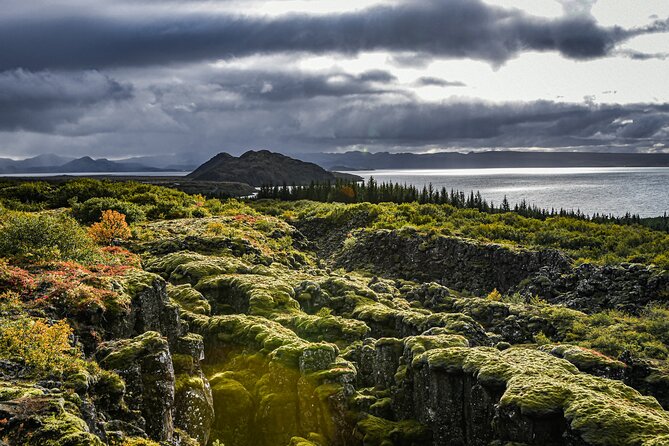 Golden Circle, Secret Lagoon & Friðheimar (Small Group) - Friðheimar tomato farm: geothermal energy you can taste