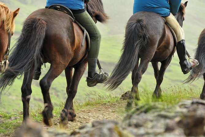 Golden Circle & Viking Horse Experience - Your day in plain terms: 8:00am start and an 11-hour loop