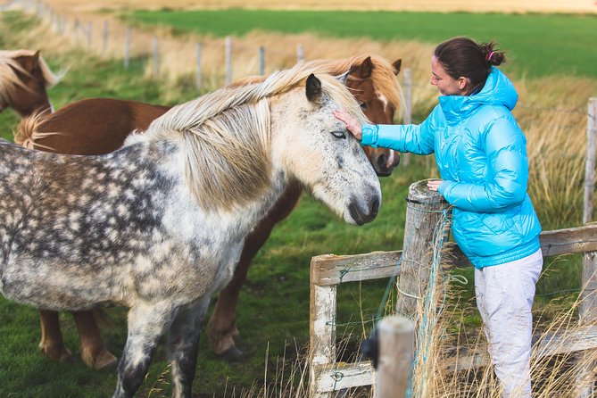 Golden Circle & Viking Horse Experience - Geysir geothermal area: the erupting show and the steam lesson
