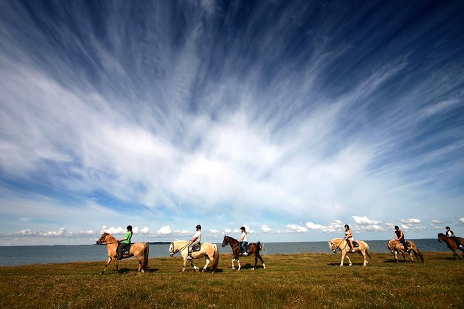 Golden Circle & Viking Horse Experience - Gullfoss waterfall: big power, quick perspective shifts