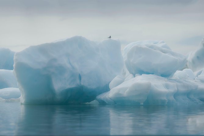 Guided Glacier Lagoon and Diamond Beach Day Trip from Reykjavik - Jökulsárlón Glacier Lagoon: iceberg watching with real room to move