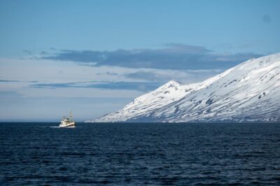 Hauganes: Whale Watching North Iceland - The Oak Boats and Local Crew: Comfort First, Whales Second