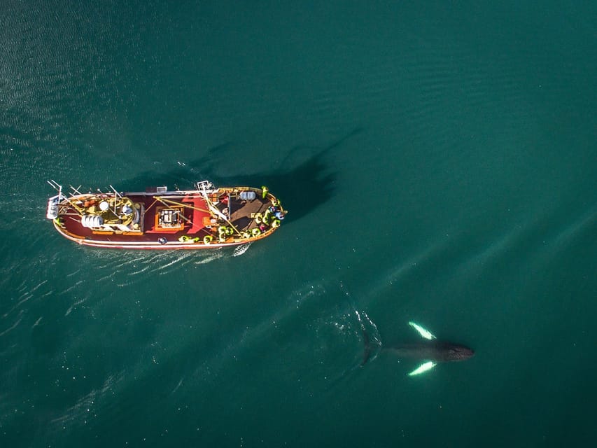 Hauganes: Whale Watching North Iceland - What to Wear in North Iceland: Warmth Is Provided, You Still Need a Plan
