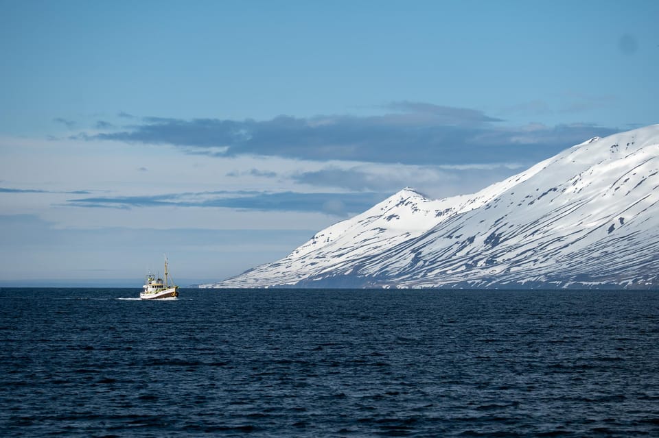 Hauganes: Whale Watching North Iceland - The Oak Boats and Local Crew: Comfort First, Whales Second