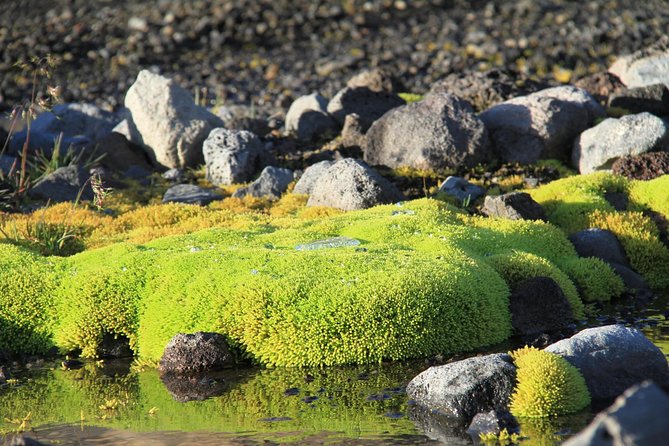 Highlights of Iceland / private guided super Jeep tour - Pacing, timing, and what to wear for an 8–9 hour day