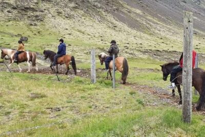 Horse Riding Tour in Reykjadalur (Smoky Valley)-All Riding Levels - Gear That Saves You From a Weather Guessing Game