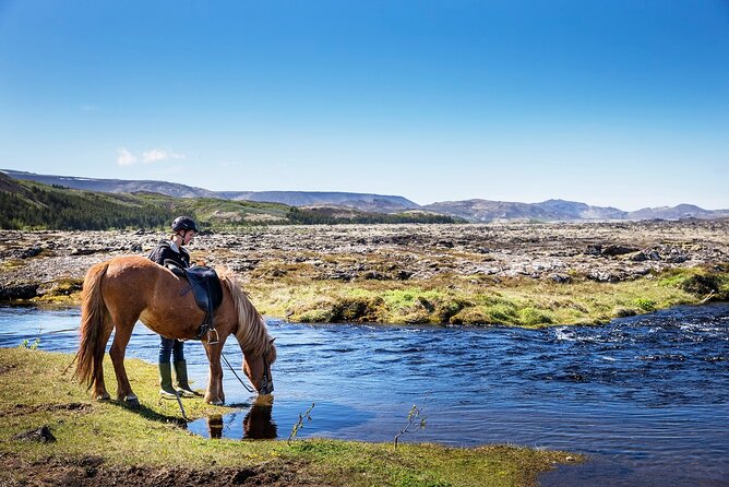 Horseback Riding Tour in Iceland - Key things to know before you go