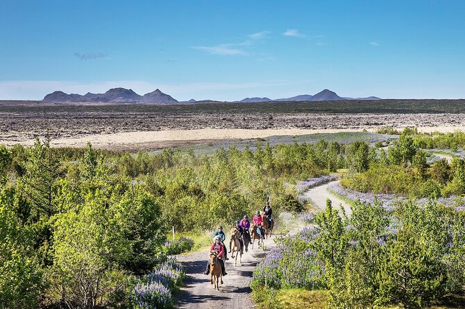 Horseback Riding Tour in Iceland - Ishestar and the Hafnarfjörður meeting point: what you’re really paying for
