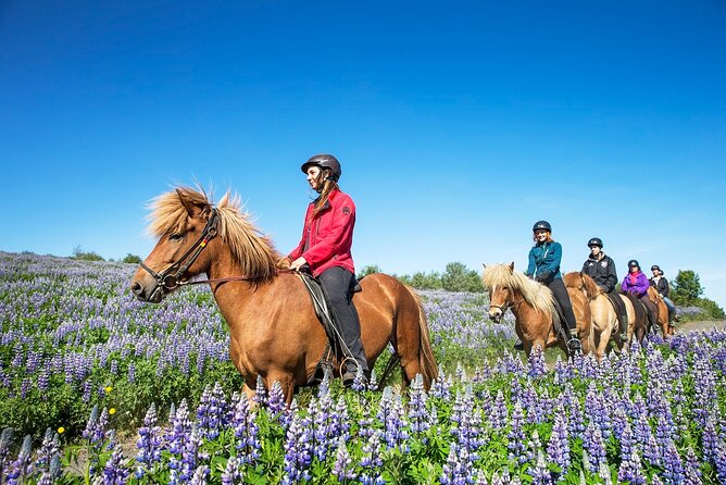 Horseback Riding Tour in Iceland - Stop 1 at Ishestar: riding paths through mossy lava and open views