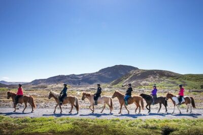 Horseback Riding Tour in Iceland - Safety talk, stable time, then off you go