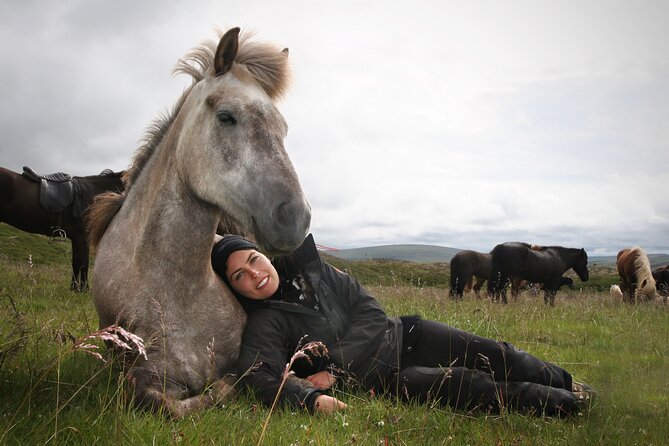Horseback Riding Tour in Iceland - Why the Icelandic horse feels different (and how tölt coaching helps)