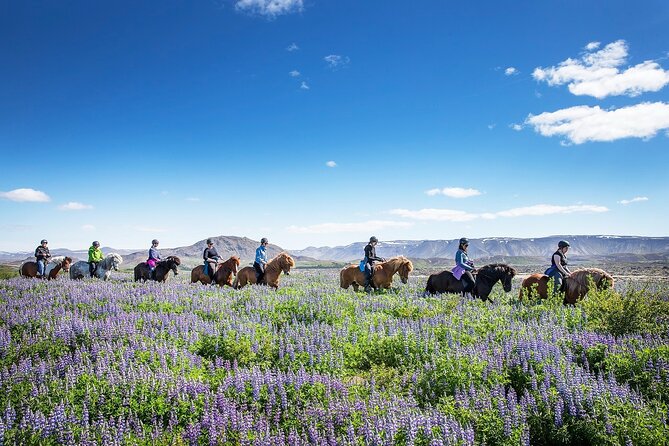 Horseback Riding Tour in Iceland - Timing, transport, and what to pack for Iceland weather