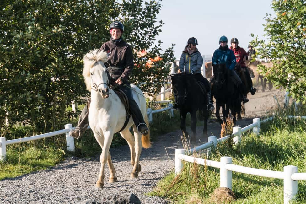 Hveragerdi: The Siggi Horse Riding Tour - Key highlights you’ll feel fast