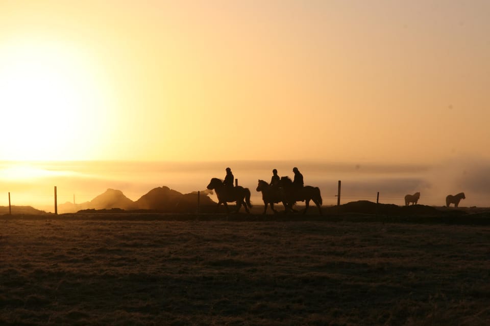 Hveragerdi: The Siggi Horse Riding Tour - Hveragerði horseback riding: what makes this tour click