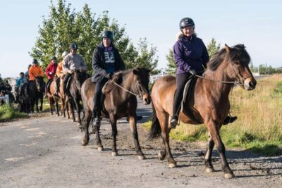 Hveragerdi: The Siggi Horse Riding Tour - The 2-hour flow: pickup, ride time, and what you’ll do on the ground