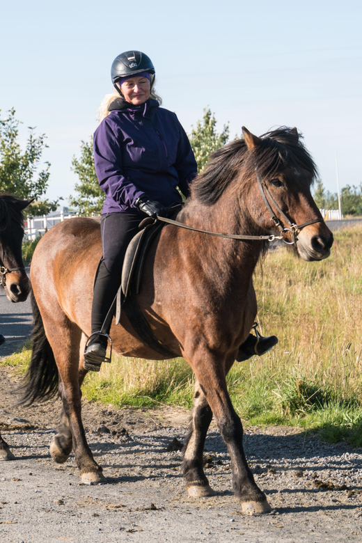 Hveragerdi: The Siggi Horse Riding Tour - Icelandic horses and the tölt: what you’re really learning