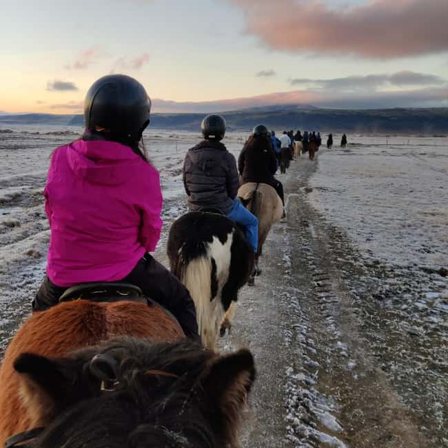 Hveragerdi: The Siggi Horse Riding Tour - Price and value: is $132 a fair deal?