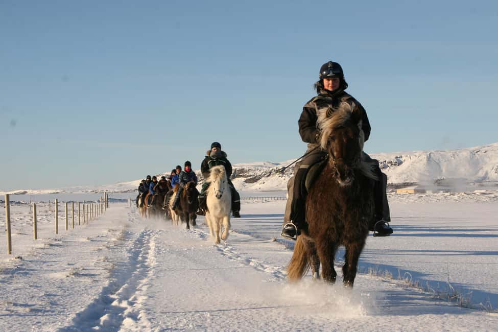 Hveragerdi: The Siggi Horse Riding Tour - Logistics that actually matter: timing, pickup stops, and comfort