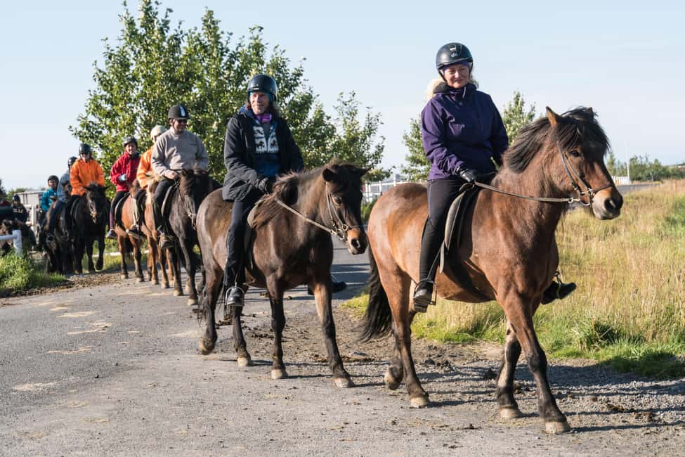 Hveragerdi: The Siggi Horse Riding Tour - The 2-hour flow: pickup, ride time, and what you’ll do on the ground
