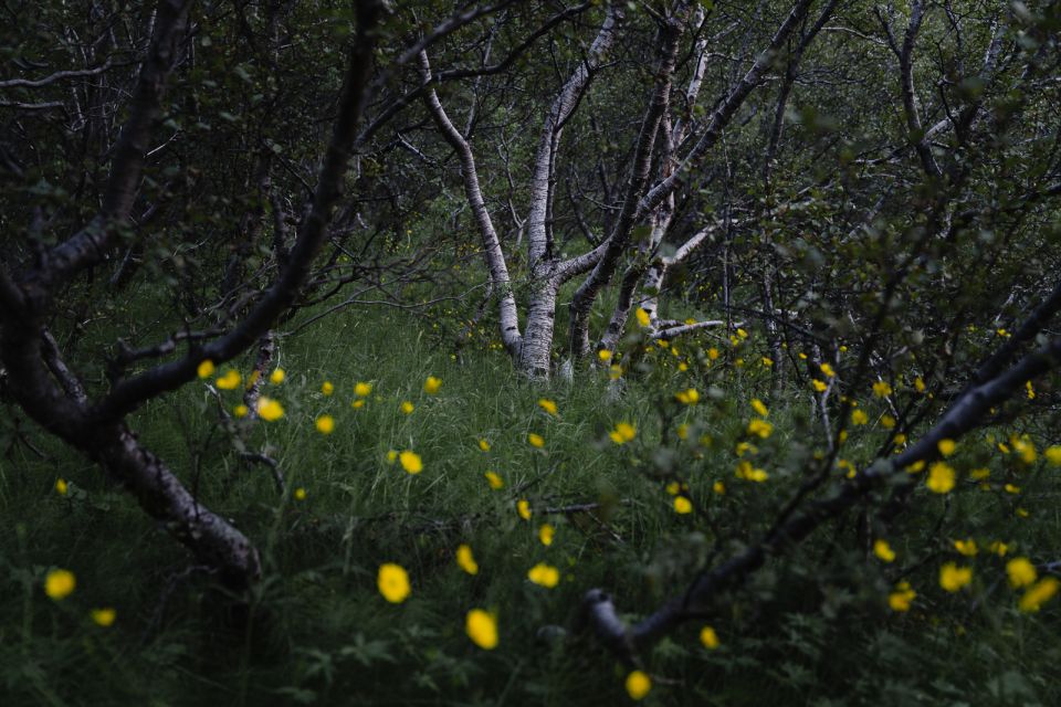 Hvolsvöllur: Private Thorsmork Guided Day Hike by Super Jeep - Price and Value: $2,070 Per Group Up To 4