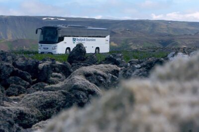 Iceland: Airport Transfers between Keflavík and Reykjavik Center - Flight delays don’t break the system