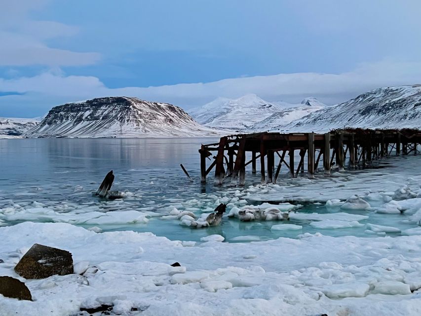 Iceland in a nutshell, private Super Jeep - Hot springs and the Borgarfjörður area: heat under your feet
