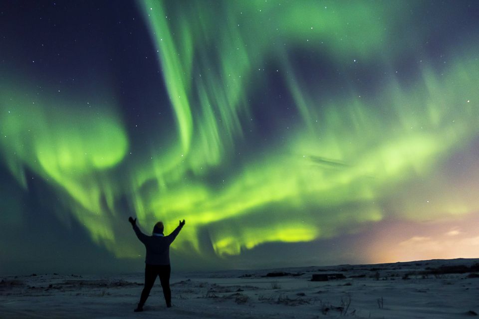 Iceland: Northern Lights Bus Tour from Reykjavik - Leaving Reykjavik’s Bright Lights Behind