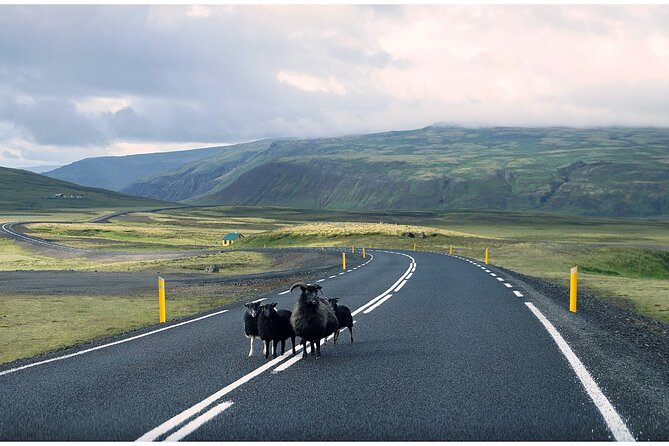 Iceland South Coast Tour with Pickup - Price and Value: What $172.42 Covers (and What It Doesn’t)