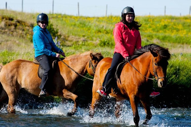 Icelandic Horse Riding and Whale Watching Cruise from Reykjavík - Warm Gear, Safety Equipment, and the Comfort Factor