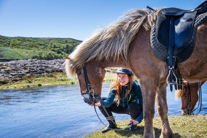 Icelandic Horse Riding and Whale Watching Tour from Reykjavik - Key Things I’d Not Miss