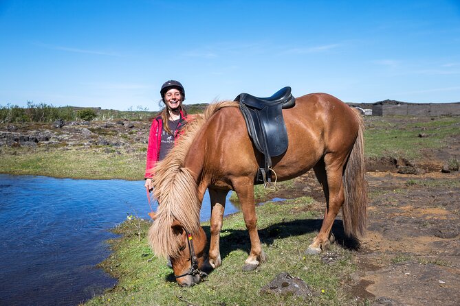 Icelandic Horse Riding and Whale Watching Tour from Reykjavik - Reykjavik Old Harbor and a Fast Whale-Watch Run in Faxaflói Bay