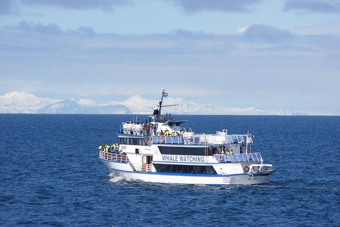 Icelandic Horse Riding and Whale Watching Tour from Reykjavik - Who This Tour Suits Best (and When You Might Split It Up)