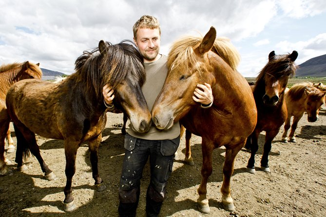 Icelandic Horseback Riding Tour Including Pick Up from Reykjavik - How the Reykjavik pickup sets the tone