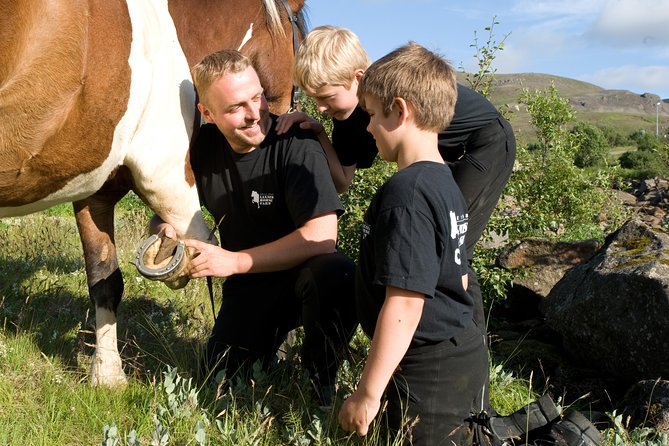 Icelandic Horseback Riding Tour Including Pick Up from Reykjavik - After the ride: warm drinks and a farm-family feel