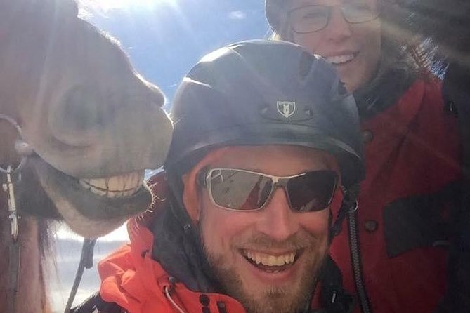 Icelandic Horseback Riding Tour Including Pick Up from Reykjavik - Who should book this horseback ride (and who should think twice)