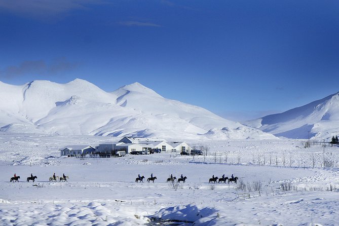 Icelandic Horseback Riding Tour Including Pick Up from Reykjavik - Price and value: is $152.37 worth it?