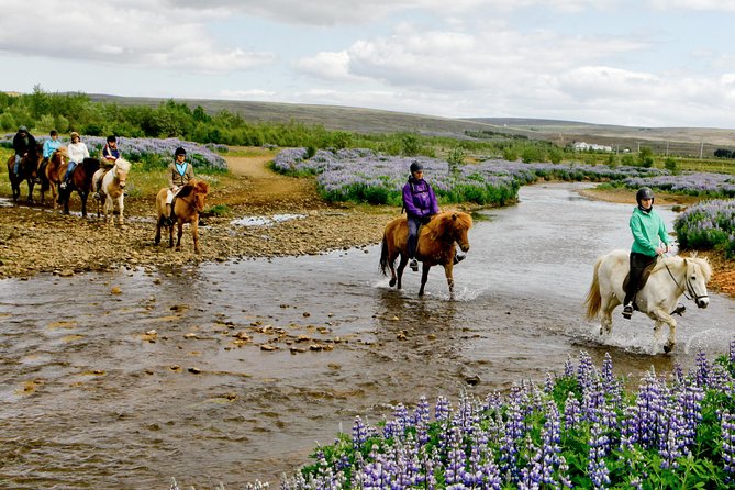 Icelandic Horseback Riding Tour Including Pick Up from Reykjavik - Gear fitting and matching the right Icelandic horse