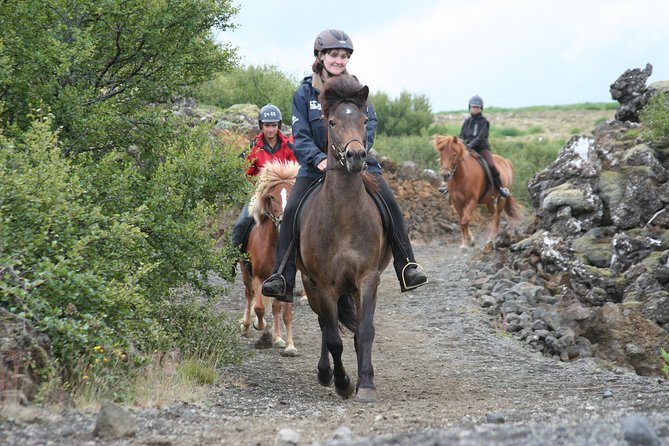 Icelandic Horseback Riding Tour with Pickup Option from Reykjavik - Key highlights worth your attention