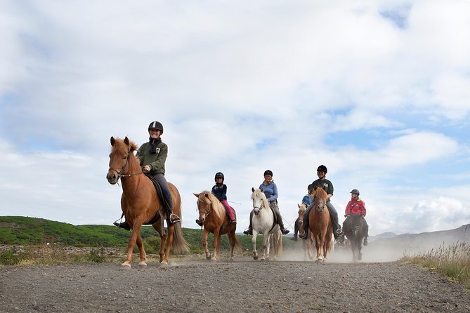 Icelandic Horseback Riding Tour with Pickup Option from Reykjavik - Icelandic horses and the tölt: why this ride feels different