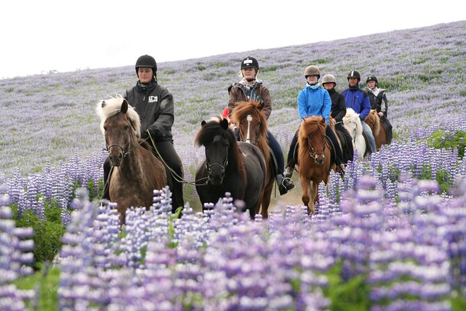 Icelandic Horseback Riding Tour with Pickup Option from Reykjavik - The ride itself: lava fields, moorland, mountains, and lakes