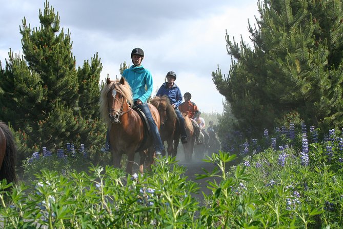 Icelandic Horseback Riding Tour with Pickup Option from Reykjavik - Warm drinks at the end: a small finish that feels big