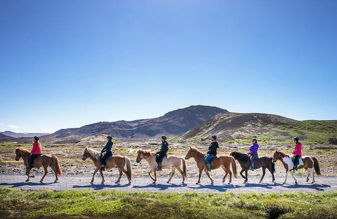 Icelandic Horseback Riding Tour with Pickup Option from Reykjavik - What happens at the stables before you ride