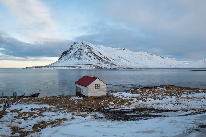 Icelands Reykjavik Self Guided Walking Audio Tour - Should you book the Reykjavik self-guided walking audio tour?