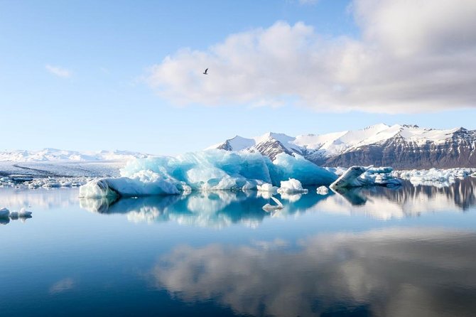 Jökulsarlón Glacier Lagoon Tour - Why This Jökulsárlón Tour Feels Different From a Bus Day