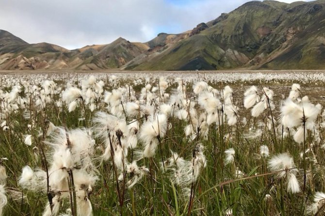Landmannalaugar by Super Jeep - Landmannalaugar Is the Main Event, and the Guide Helps You Enjoy It