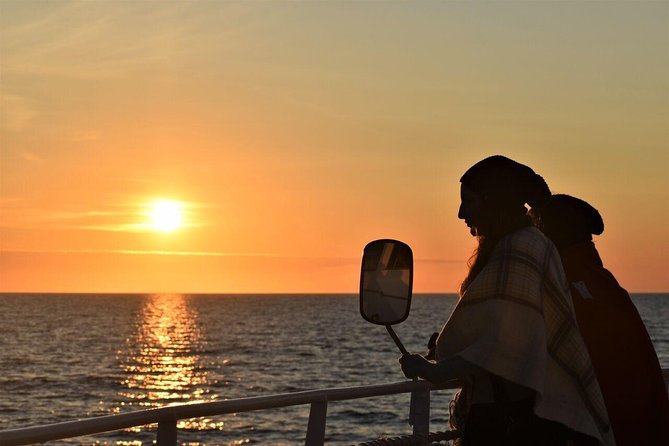 Magical Whales in the Midnight Sun | from Reykjavik - Key things that make this midnight sun cruise worth your time
