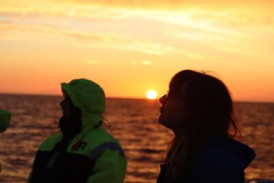 Midnight Sun Whale Watching from Reykjavik - Old Harbour departure: timing, views, and the “be early” rule